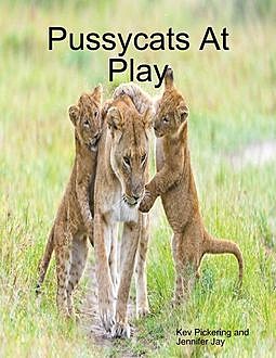 Pussycats At Play, Kev Pickering, Jennifer Jay