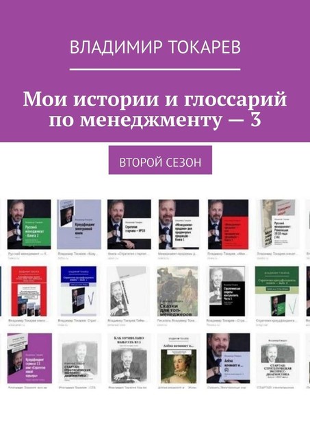 Мои истории и глоссарий по менеджменту — 3. Второй сезон, Владимир Токарев