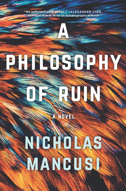 A Philosophy of Ruin, Nicholas Mancusi