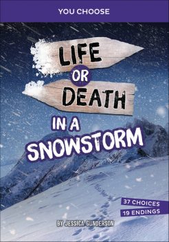 Life or Death in a Snowstorm, Jessica Gunderson