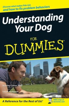 Understanding Your Dog For Dummies, Sarah Hodgson, Stanley Coren