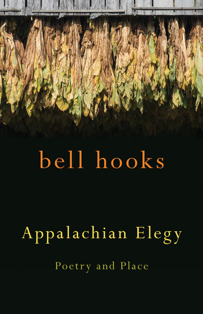 Appalachian Elegy, bell hooks