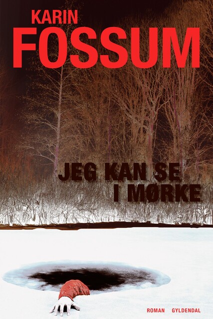 Jeg kan se i mørke, Karin Fossum
