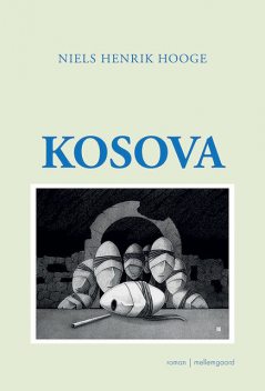 Kosova, Niels Henrik Hooge