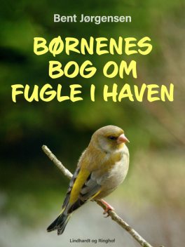 Børnenes bog om fugle i haven, Bent Jörgensen
