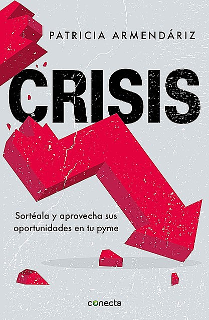 Crisis (Spanish Edition), Patricia Armendáriz