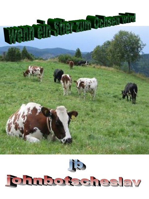 wenn ein Stier zum Ochsen wird, johnbotscheslav