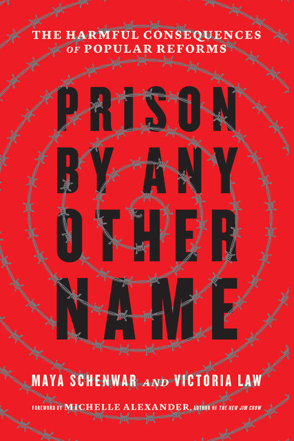 Prison by Any Other Name, Maya Schenwar, Victoria Law
