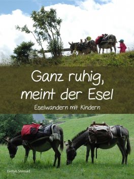 Ganz ruhig, meint der Esel, Evelyn Sternad