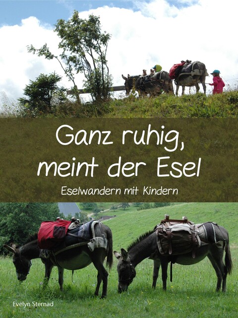 Ganz ruhig, meint der Esel, Evelyn Sternad