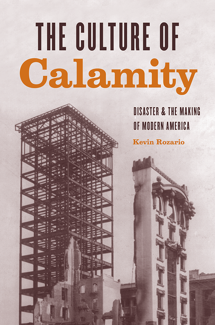 The Culture of Calamity, Kevin Rozario