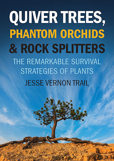 Quiver Trees, Phantom Orchids & Rock Splitters, Jesse Vernon Trail