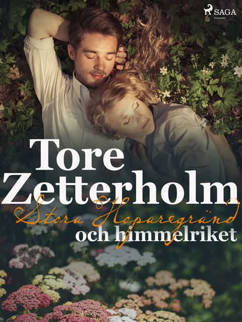 Stora Hoparegränd och himmelriket, Tore Zetterholm