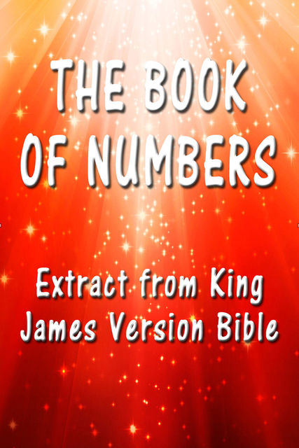 The Book of Numbers, James King