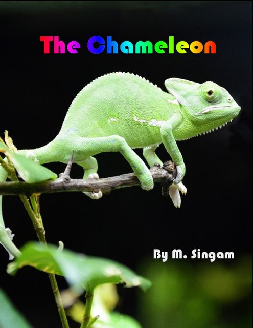 The Chameleon, M Singam