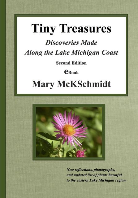 Tiny Treasures, Mary McKSchmidt