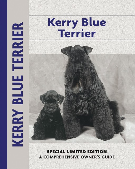 Kerry Blue Terrier, Bardi McLennan