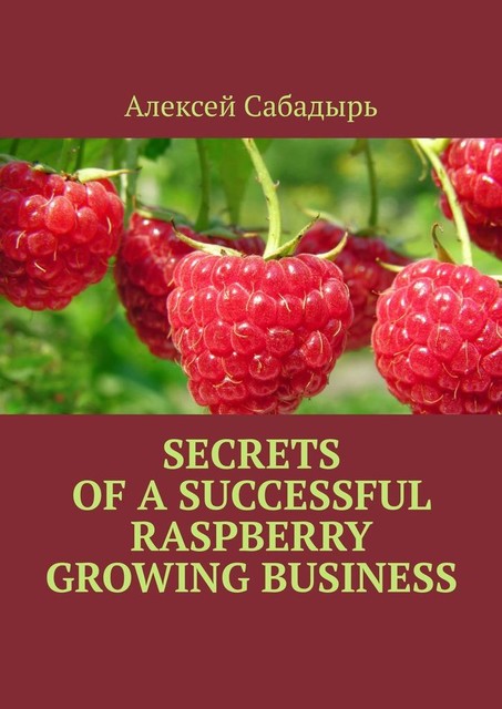 Secrets of a successful raspberry growing business, Алексей Сабадырь