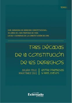 Tres décadas de la constitución de los derechos: entre promesas y realidades, Julián Martínez