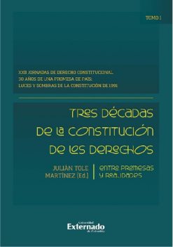 Tres décadas de la constitución de los derechos: entre promesas y realidades, Julián Martínez