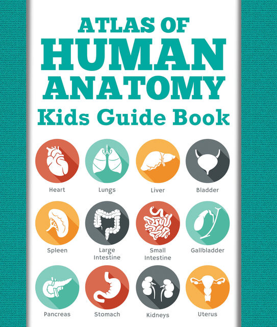 Atlas Of Human Anatomy: Kids Guide Book, Speedy Publishing LLC