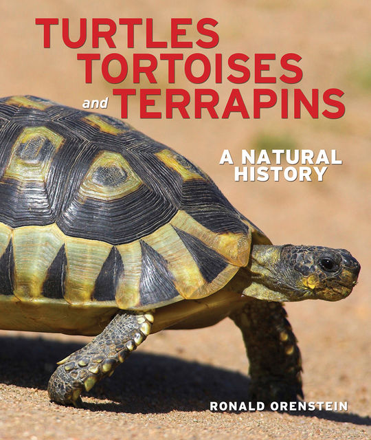 Turtles, Tortoises and Terrapins, Ronald Orenstein