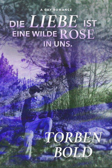 Die Liebe ist eine wilde Rose in uns: Gay Romance, Torben Bold