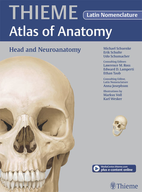 Head and Neuroanatomy – Latin Nomencl. (THIEME Atlas of Anatomy), Michael Schuenke, Erik Schulte, Udo Schumacher