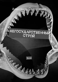 Негосударственный строй, Александр Степаненко