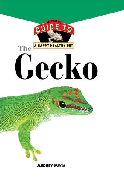 The Gecko, Audrey Pavia