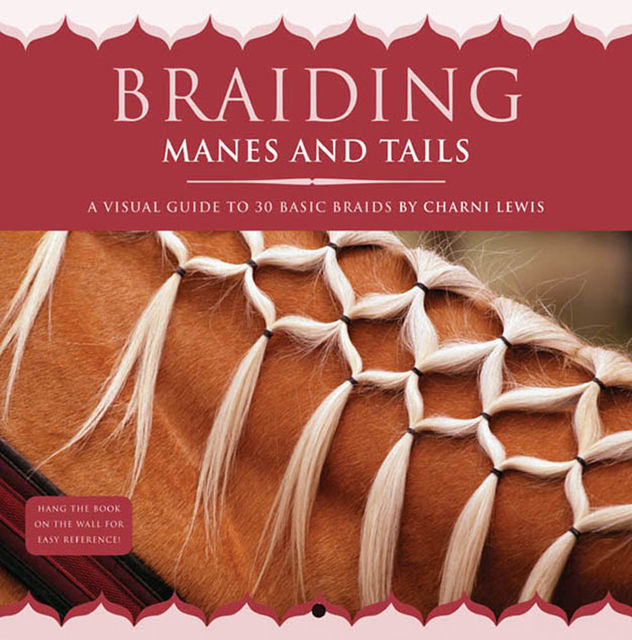 Braiding Manes and Tails, Charni Lewis