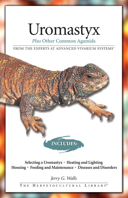 Uromastyx, Philippe De Vosjoil