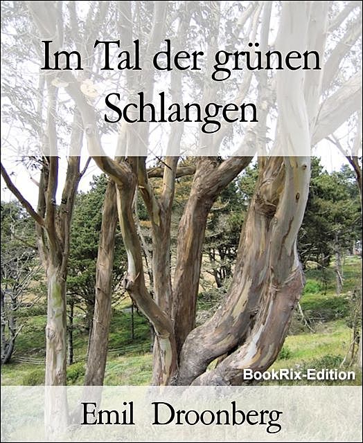 Im Tal der grünen Schlangen, Emil Droonberg