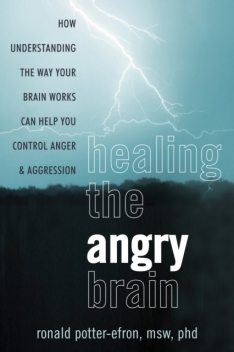 Healing the Angry Brain, Ronald Potter-Efron