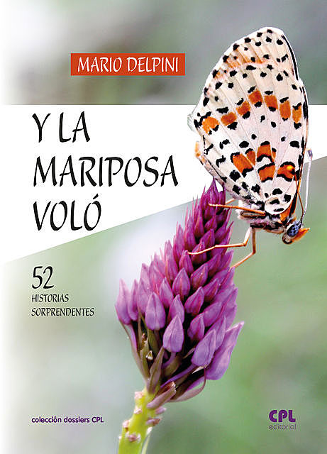 Y la mariposa voló, Mario Delpini