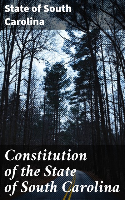 Constitution of the State of South Carolina, State of South Carolina