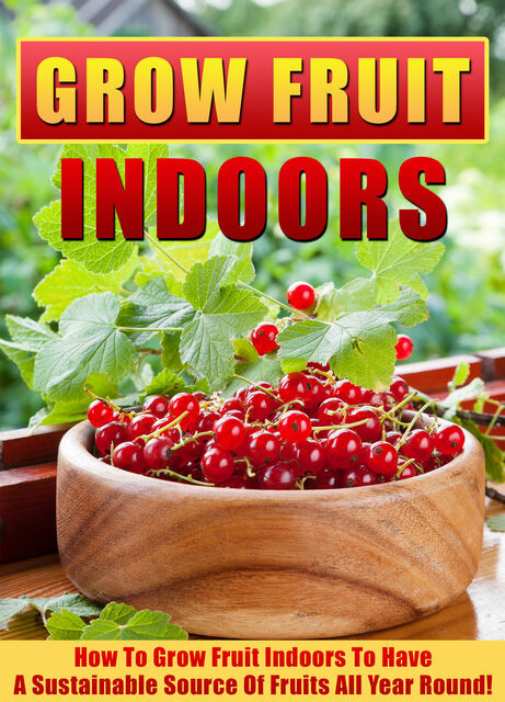 Grow Fruit Indoors How To Grow Fruit Indoors To Have A Sustainable Source Of Fruits All Year Round, Old Natural Ways