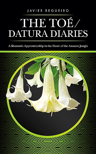 The Toé / Datura Diaries, Javier Regueiro
