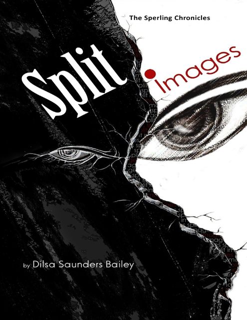 The Sperling Chronicles: Split Images, Dilsa Saunders Bailey