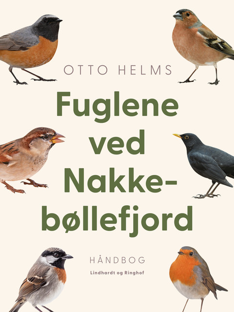 Fuglene ved Nakkebøllefjord, Otto Helms