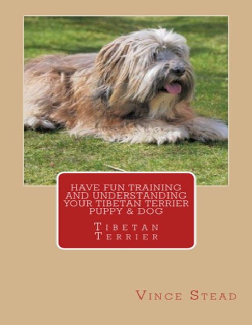 Have Fun Training and Understanding Your Tibetan Terrier Puppy & Dog, Vince Stead