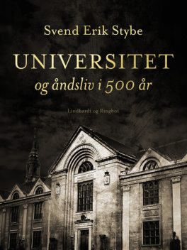Universitet og åndsliv i 500 år, Svend Erik Stybe
