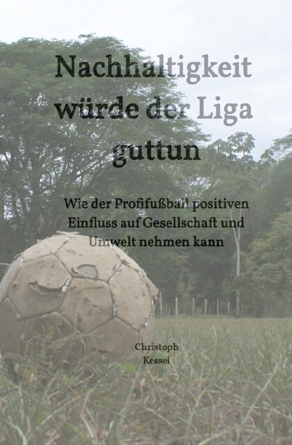 Nachhaltigkeit würde der Liga guttun, Christoph Kessel