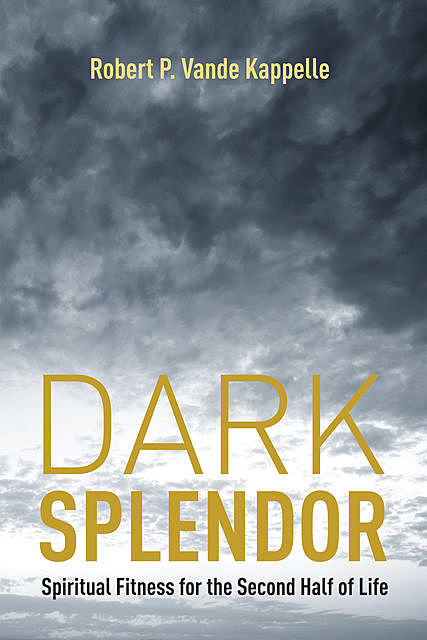 Dark Splendor, Robert P. Vande Kappelle