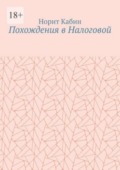Похождения в Налоговой, Норит Кабин