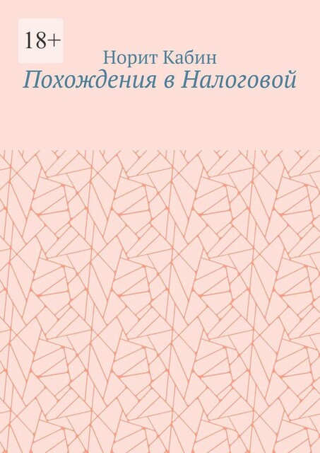 Похождения в Налоговой, Норит Кабин