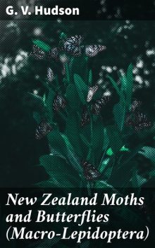 New Zealand Moths and Butterflies (Macro-Lepidoptera), G.V. Hudson