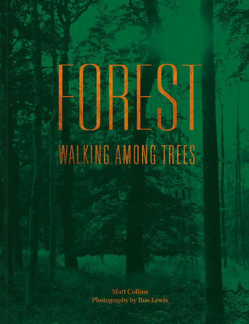 Forest, Matt Collins