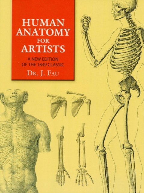 Human Anatomy for Artists, J.Fau