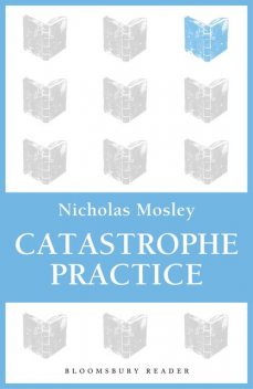 Catastrophe Practice, Nicholas Mosley